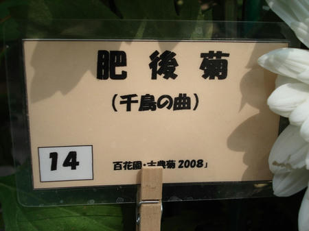 e7064f43.jpg