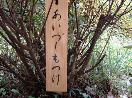 会津下野.jpg