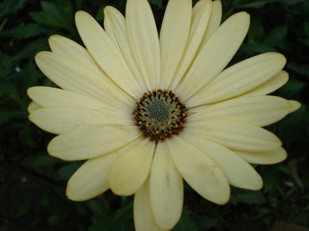9c46299b.jpg