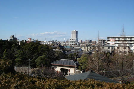 柴又公園.jpg