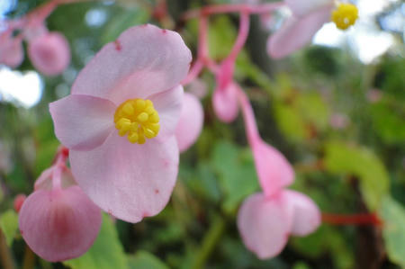 ２０１１年１１月　気ままに伝言板