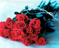 roses.jpg