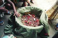 p04.jpg