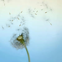 watage.jpg