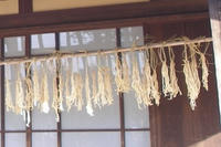 daikon.jpg