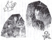 duredure35_usagi.jpg