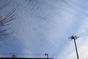 20110219.JPG