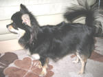 e70cf92f.jpg