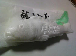 fa900559.jpg