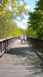 82f7eb50.jpg