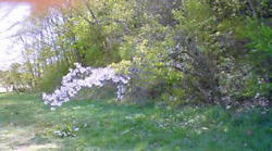 6c6983f2.jpg