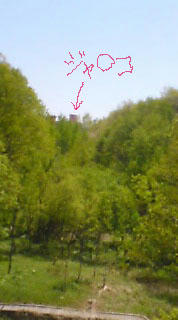 38e020fe.jpg