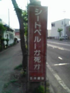 63ca46c9.jpg