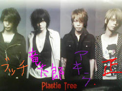 080828-plastictree-member2.jpg