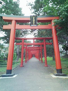845ab9d9.jpg