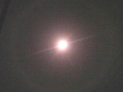 a239ef30.jpg