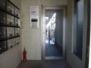 P1100440.JPG