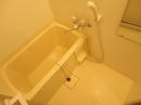 DSC01581.JPG