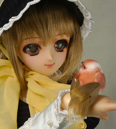 ddh02o1_2.jpg