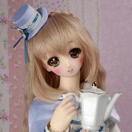 ddh03wb01.jpg
