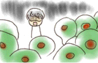 sf2p17.gif