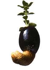 sample03.jpg