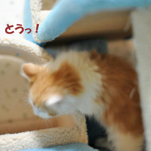 081229-4.jpg