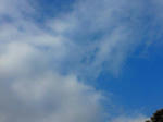 NEC_0002.JPG