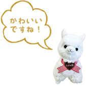 ゆんさんのアルパカ写真 アルパカシティでかくれんぼ