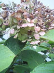 200909151316000_t.jpg