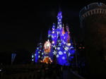 DSC00142.JPG