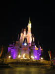 DSC00461.JPG