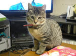 DSC00776.jpg