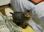 DSC00783.jpg