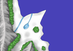 wmap2.png