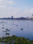 F1000096.JPG