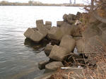 DSCF0007.JPG