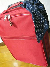 使い回しなキャリーバッグ