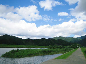 河川敷