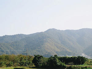 おまけ