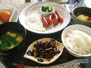 お昼ご飯全景