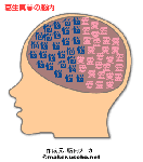 先生の脳内