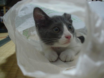 DSC03108.JPG