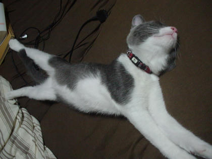 DSC03201.JPG
