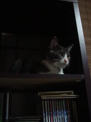 DSC03236.JPG