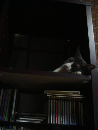 DSC03238.JPG