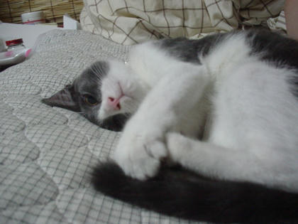 DSC03239.JPG