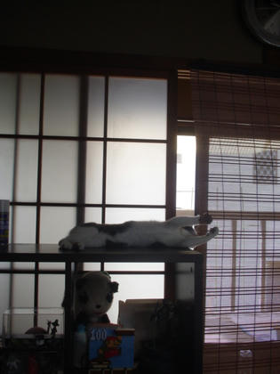 DSC03248.JPG