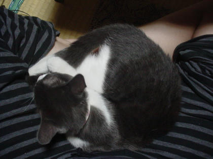 DSC03258.JPG