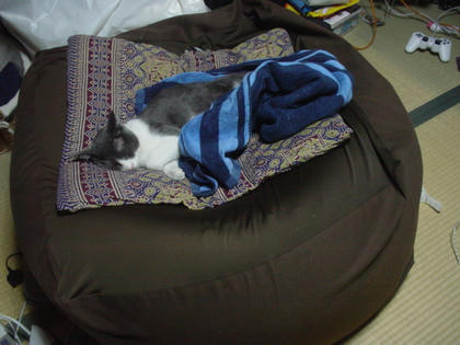 DSC03304.JPG